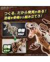 DINOSAUR - New Dinosaur Plastic Tyrannosaurus (Tentative) - Model Kit - vue de dos
