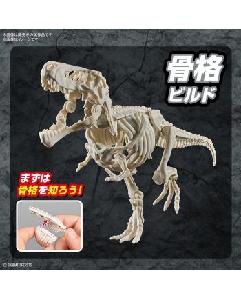 DINOSAUR - New Dinosaur Plastic Tyrannosaurus (Tentative) - Model Kit - vue de detail