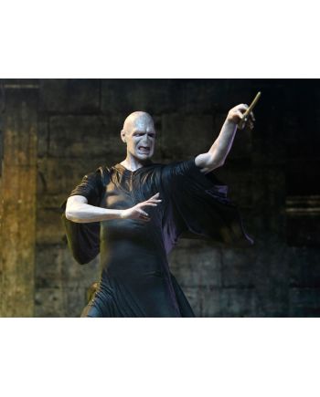 Figurine Voldemort Harry Potter détail du visage