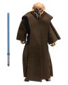 Détails et articulations de la figurine Plo Koon Hasbro