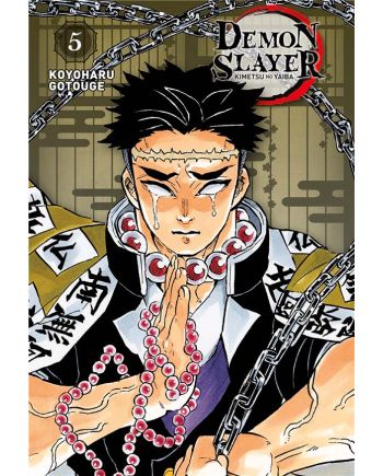 DEMON SLAYER - Tome 5 - Edition Pilier - vue principale