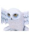 Décoration murale Hedwige Harry Potter 45cm