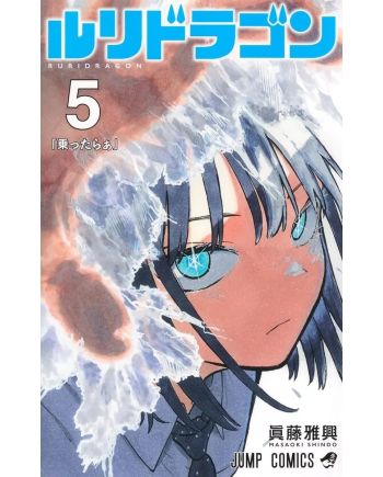 RURIDRAGON - Tome 5 - vue principale