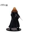 HARRY POTTER - Hermione - Figurine SFC 19cm - vue du packaging