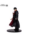 HARRY POTTER - Harry Potter - Figurine SFC 19cm - vue de detail