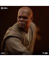 Statuette Mace Windu Art Scale 1/10 Iron Studios - Star Wars packaging
