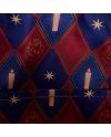 HARRY POTTER - Holiday - Mini Sac à Dos Loungefly - vue de detail