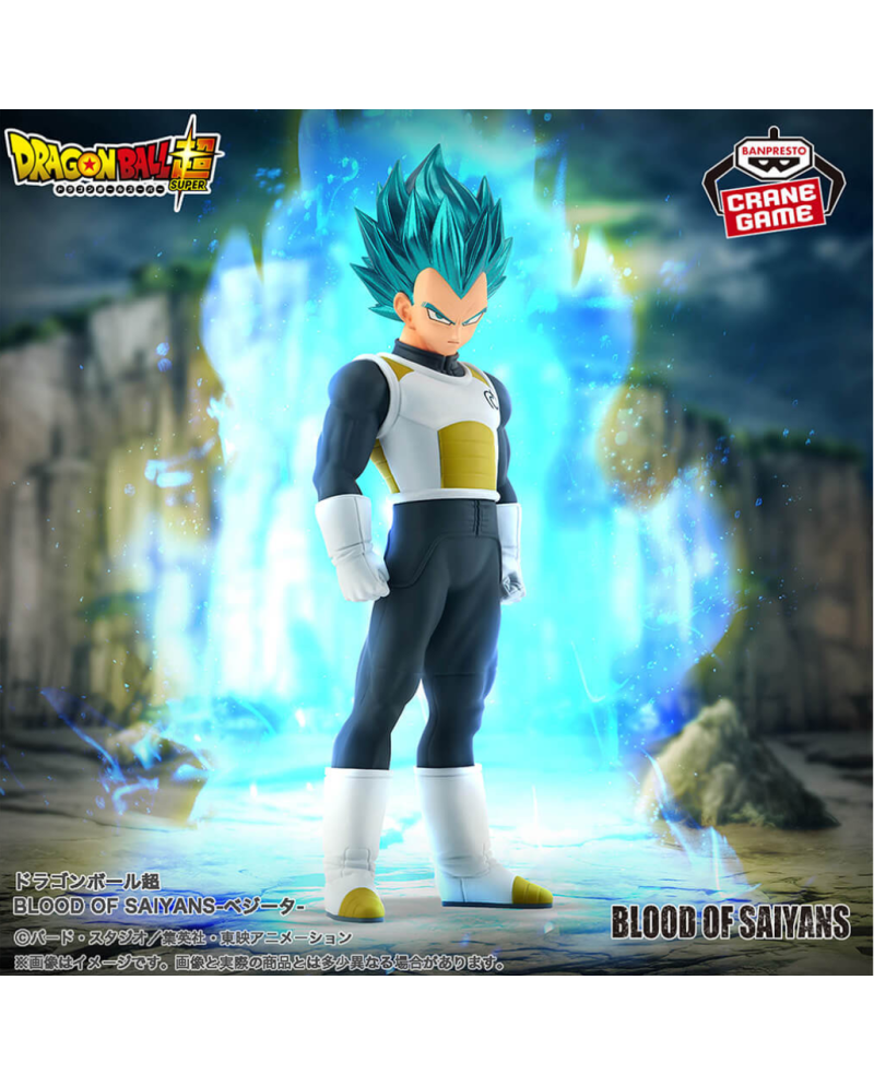 Dragon Ball Super – Figurine Vegeta Super Saiyan Blue – Blood of Saiyans