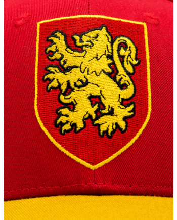 HARRY POTTER - Gryffindor - Cap