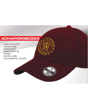 HARRY POTTER - Gryffindor - Baseball Cap "Honey Comb"
