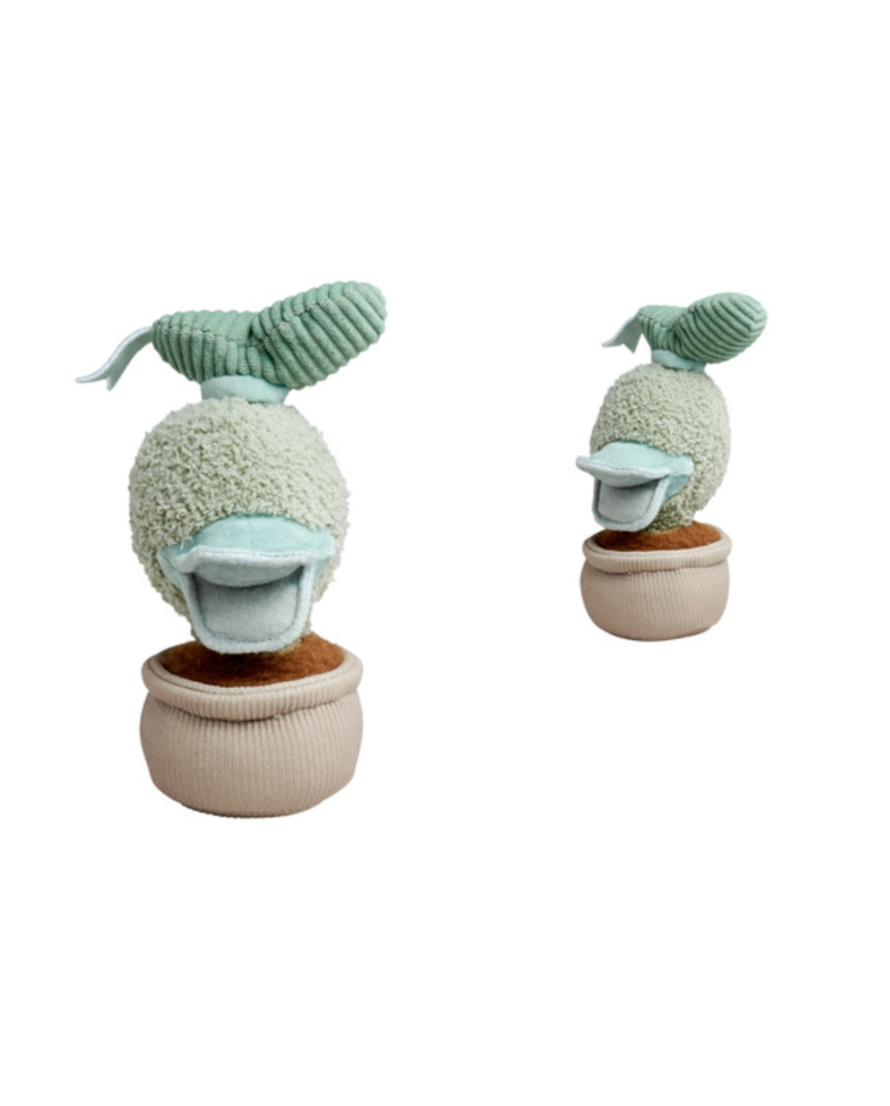 DISNEY - Plant Donald - Plush 18 cm