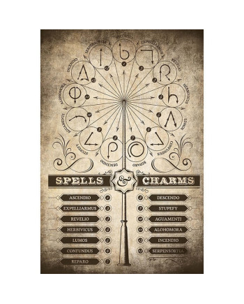 HARRY POTTER - Spells & Charms - Poster 61 x 91cm