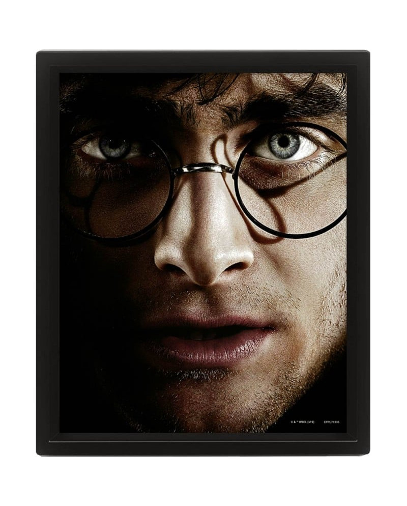 HARRY POTTER - Harry vs Voldemort - 3D Lenticular Poster 26x20cm