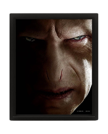 HARRY POTTER - Harry vs Voldemort - 3D Lenticular Poster 26x20cm