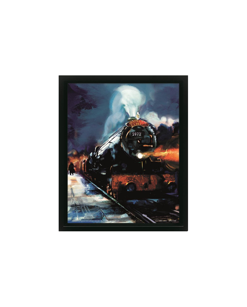 HARRY POTTER - Hogwarts Express - 3D Lenticular Poster 29x24x4cm