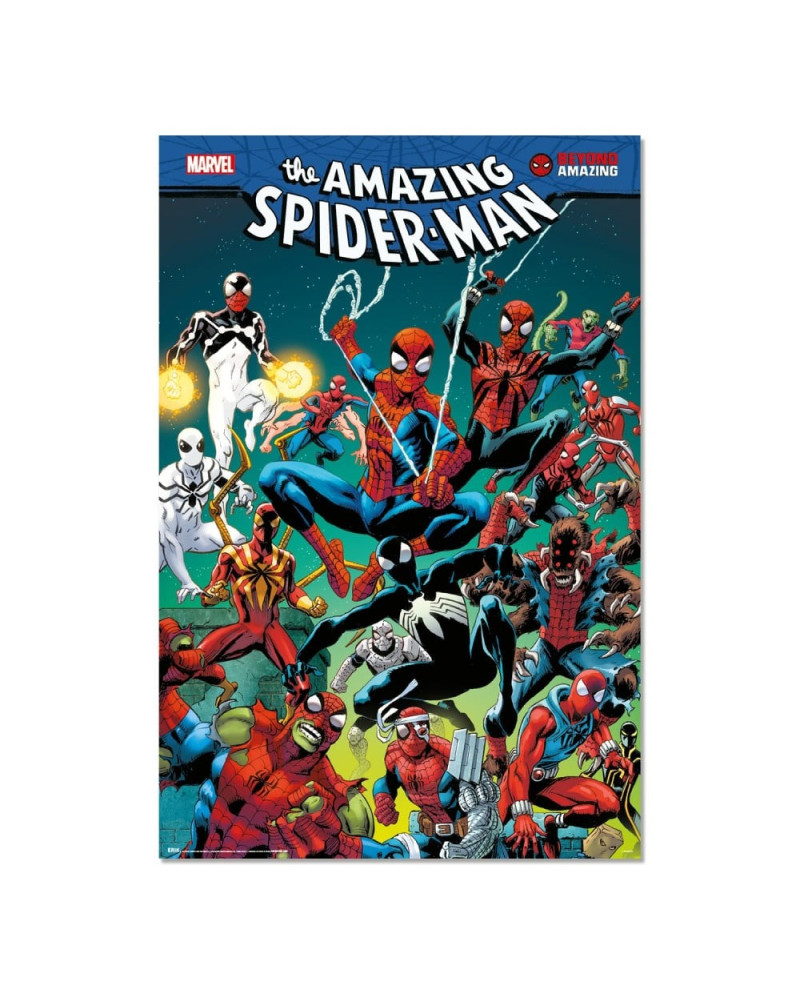 THE AMAZING SPIDERMAN - Poster 61 x 91cm
