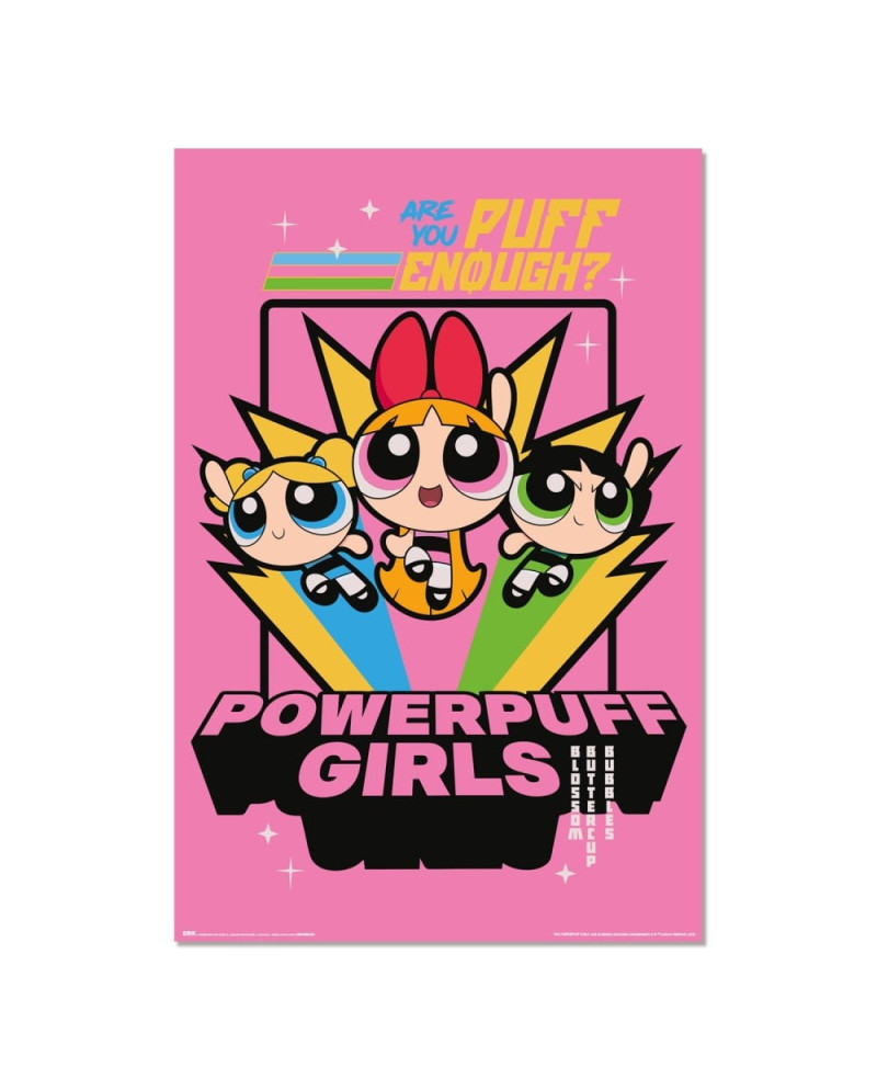 POWERPUFF GIRLS - Poster 61 x 91cm