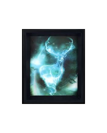 HARRY POTTER - 3D Lenticular Poster 26X20 - Expecto Patronum