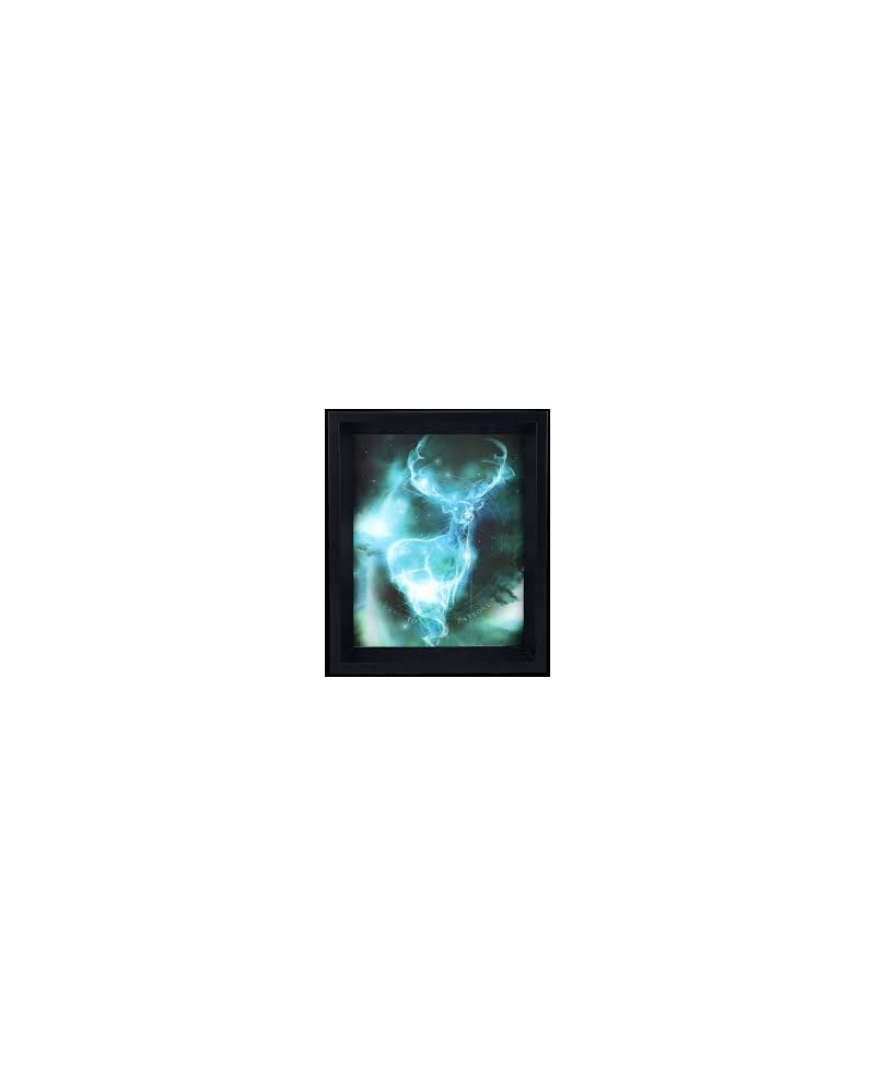 HARRY POTTER - 3D Lenticular Poster 26X20 - Expecto Patronum