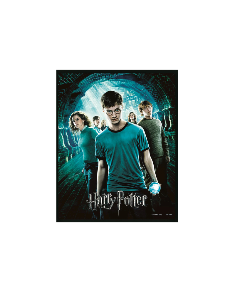 HARRY POTTER - Order of the Phoenix - 3D Lenticular Poster 26X4