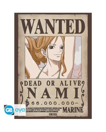 ONE PIECE - Nami & Robin - Set 2 posters '52x38'