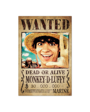ONE PIECE NETFLIX - Wanted Luffy - Poster 61 x 91cm