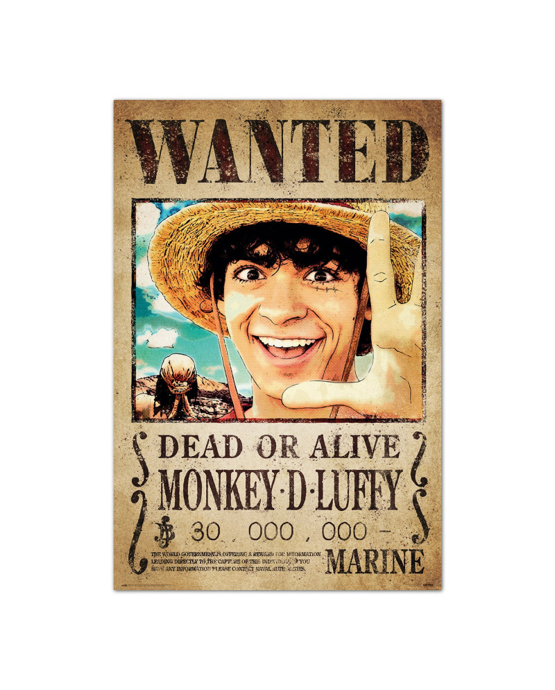 ONE PIECE NETFLIX - Wanted Luffy - Poster 61 x 91cm