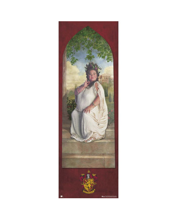 HARRY POTTER - Gryffindor Password- Door Poster 53x158