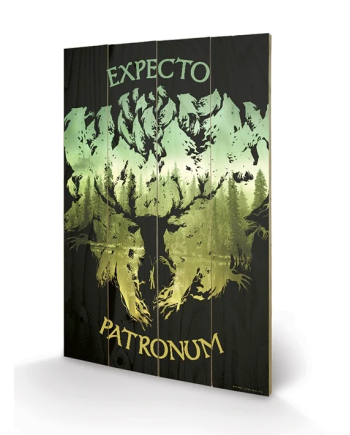 HARRY POTTER - Impression sur Bois 40X59 - Expecto Patronum