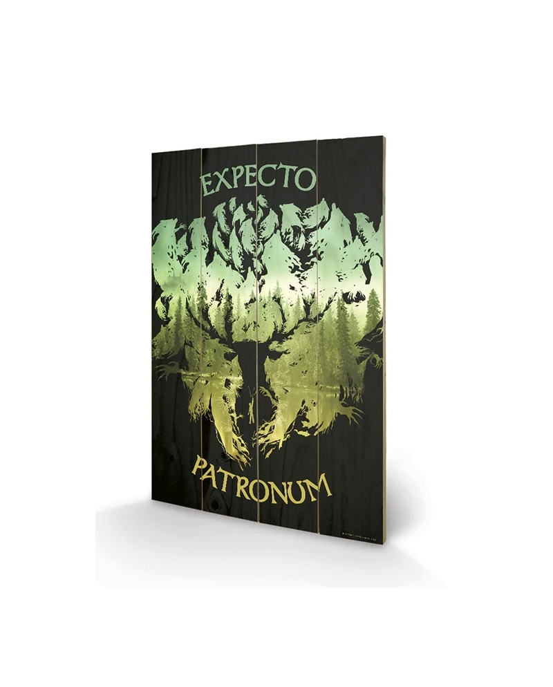 HARRY POTTER - Impression sur Bois 40X59 - Expecto Patronum
