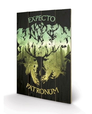 HARRY POTTER - Impression sur Bois 40X59 - Expecto Patronum