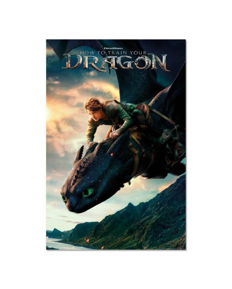 HOW TO TRAIN A DRAGON LIVE ACTION - Poster 61 x 91cm