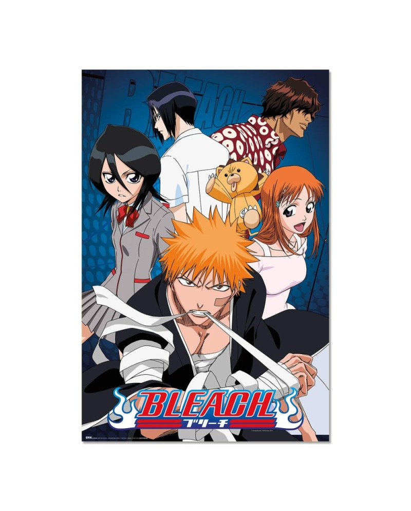 BLEACH - Characters - Poster 61 x 91cm
