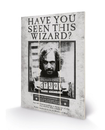HARRY POTTER - Wood Print 20x29.5 - Sirius Wanted