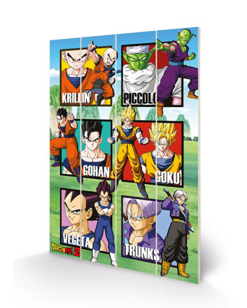 DRAGON BALL Z - Warrior Squares - Wood Print 40x59cm