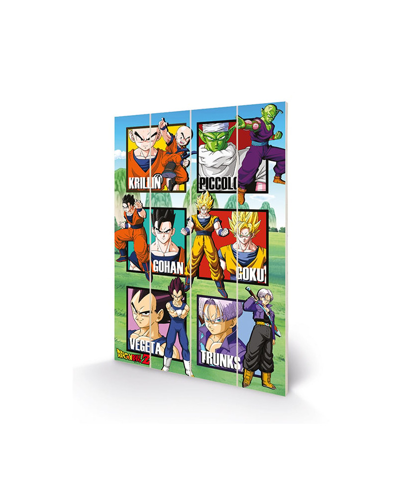 DRAGON BALL Z - Warrior Squares - Wood Print 40x59cm