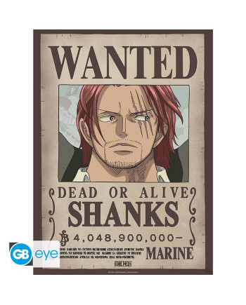 ONE PIECE - Wanted Shanks & Blackbeard - Set 2 posters '52x38'