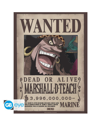 ONE PIECE - Wanted Shanks & Blackbeard - Set 2 posters '52x38'