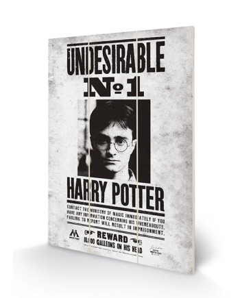 HARRY POTTER - Wood Print 20x29.5 - Undesirable No1