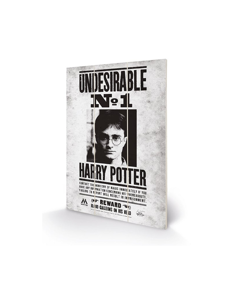 HARRY POTTER - Wood Print 20x29.5 - Undesirable No1