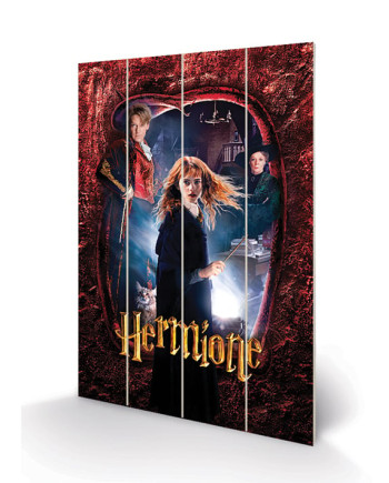 HARRY POTTER - Wood Print 40x59cm - Hermione