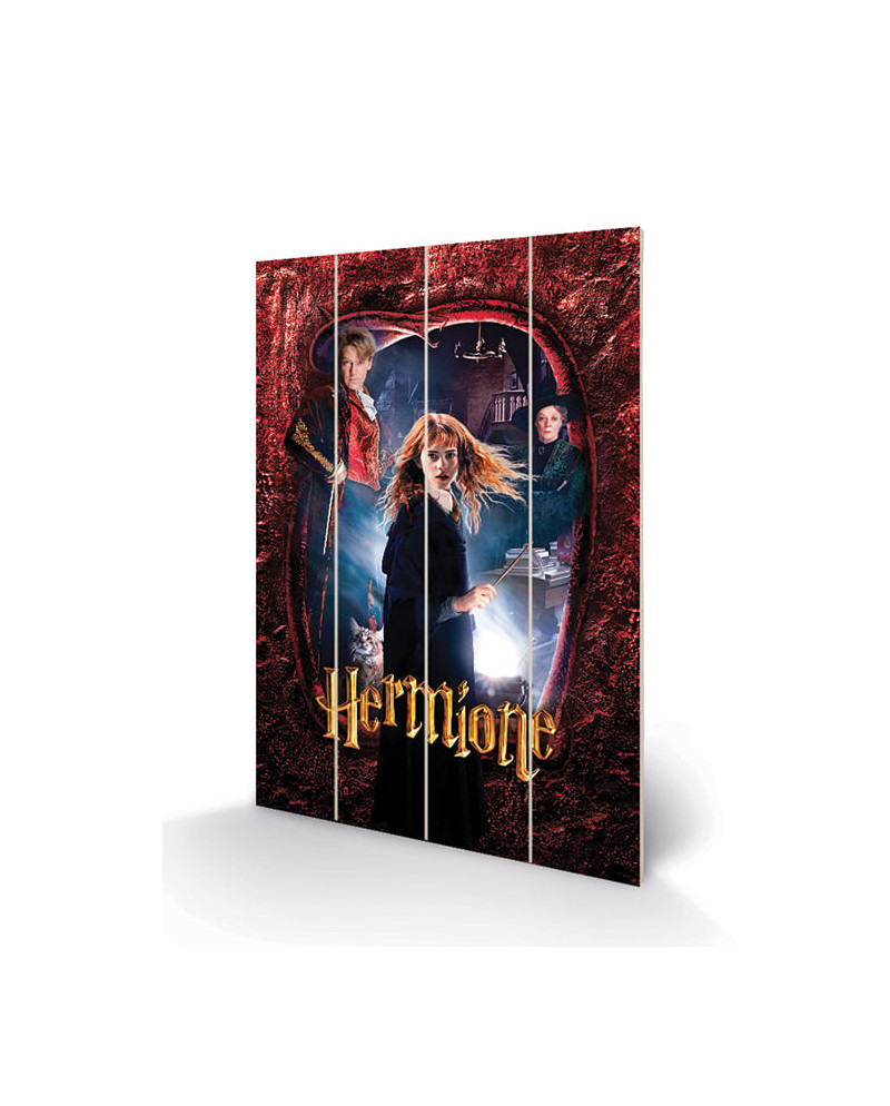 HARRY POTTER - Wood Print 40x59cm - Hermione
