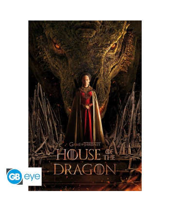 HOUSE OF THE DRAGON - Poster 91x61cm