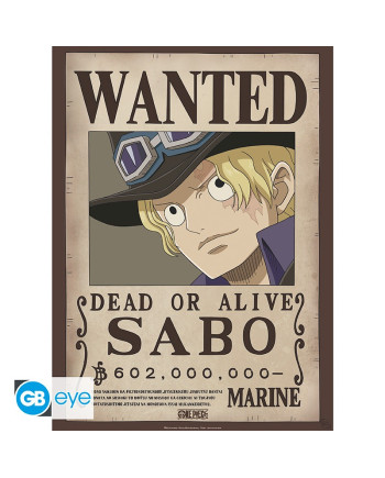 ONE PIECE - Wanted Sabo & Ace - Set 2 posters '52x38'