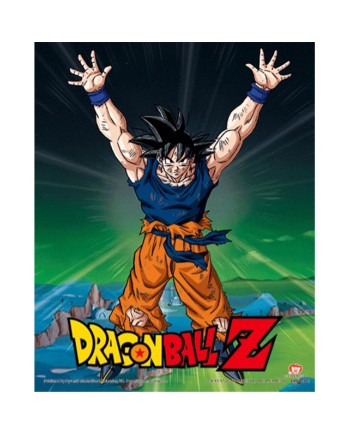 DRAGON BALL Z - Power Level Increased - 3D Lenticular Poster 26X4