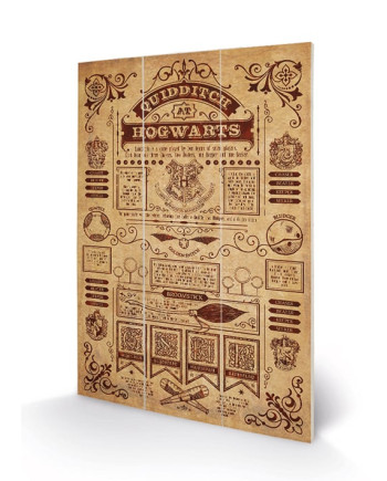 HARRY POTTER - Wood Print 20x29.5 - Quidditch at Hogwarts