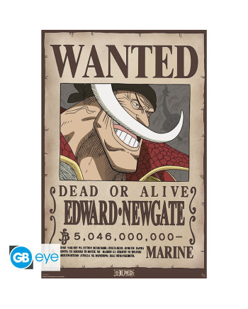 ONE PIECE - Wanted Whitebeard - Poster 91x61cm