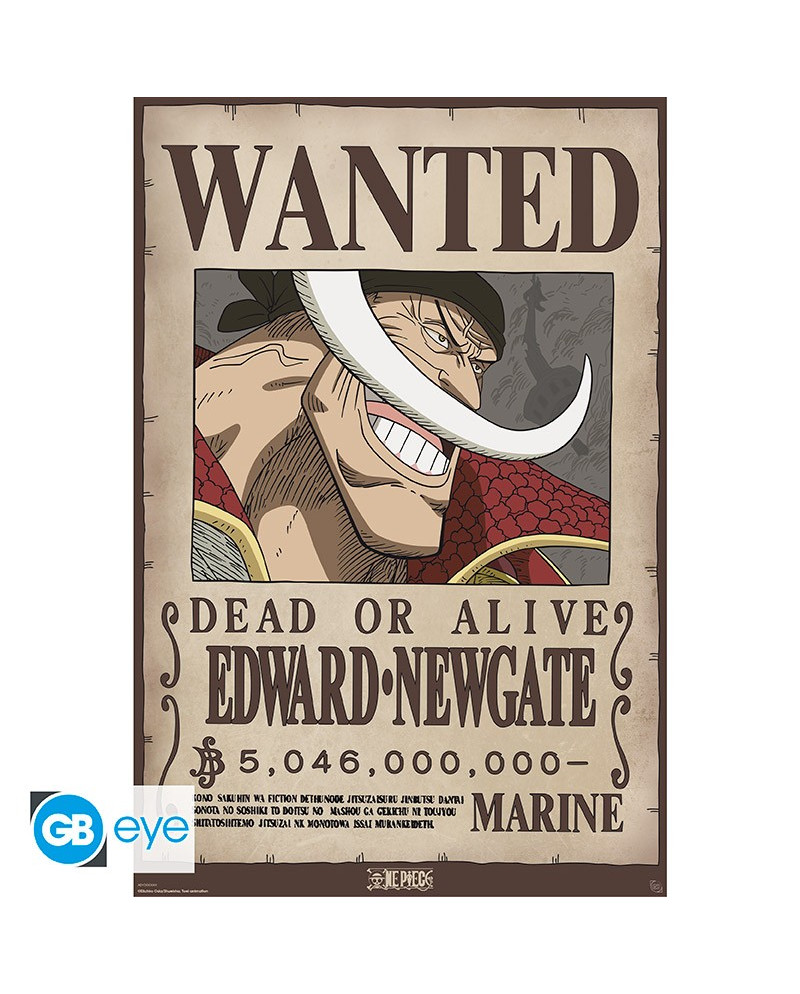 ONE PIECE - Wanted Whitebeard - Poster 91x61cm
