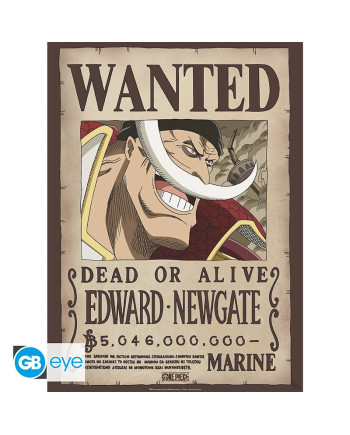 ONE PIECE - Wanted Roger & Whitebeard - Set 2 posters '52x38'