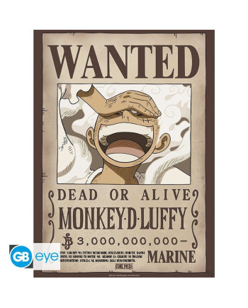 ONE PIECE - Wanted Luffy & Zoro - Set 2 posters '52x38'